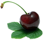 Makanan organik sekarang tersedia secara luas