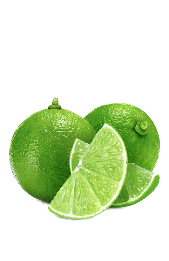 Sayuran Organik Segar & Sehat